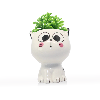 little cat planter