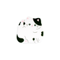 chonky cat sticky notes