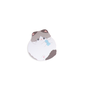 chonky cat sticky notes