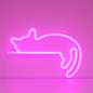 lazy kitty light
