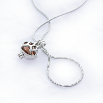 paw ashes locket