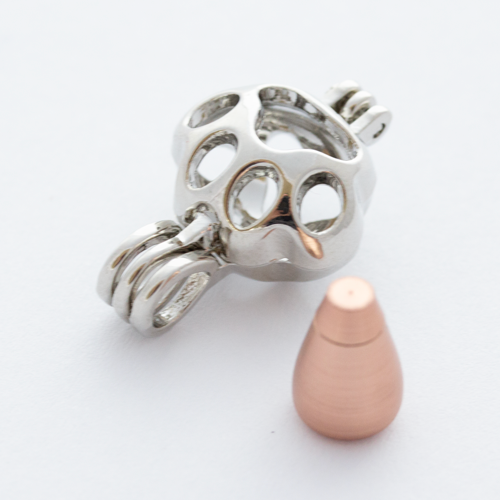 paw ashes locket