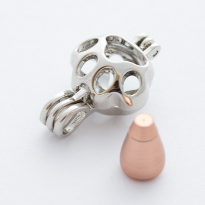 paw ashes locket
