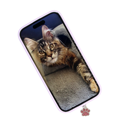 glitter paw phone plug